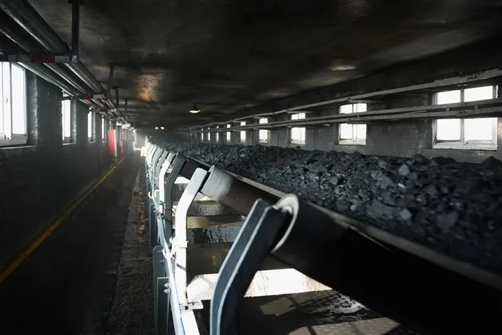 Tuli - vastupidav konveierilint